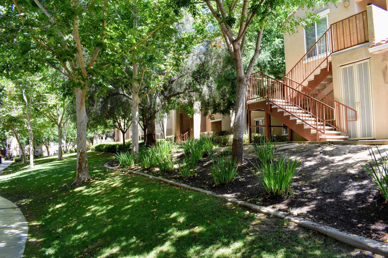 25100 Vista Murrieta